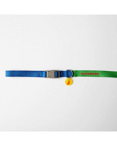 Dog Lead - Sonia - Yellow and Lime The Painter's Wife original gift idea switzerland