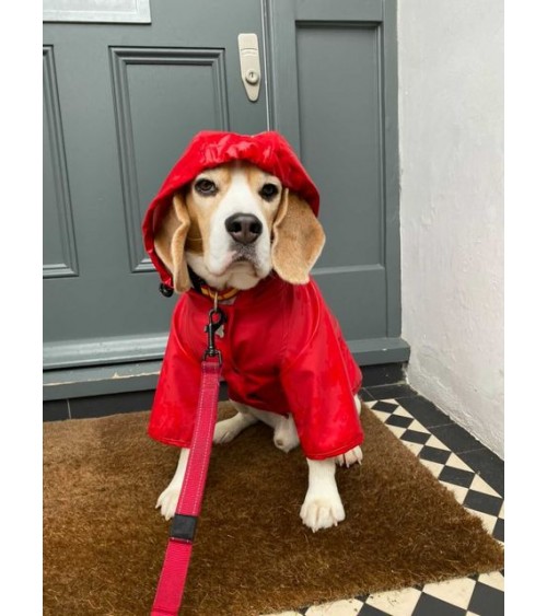 Dog Raincoat - Sarah - Red The Painter's Wife original gift idea switzerland