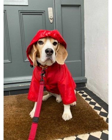 Dog Raincoat - Sarah - Red The Painter's Wife original gift idea switzerland