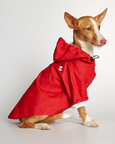 Dog Raincoat - Sarah - Red The Painter's Wife original gift idea switzerland