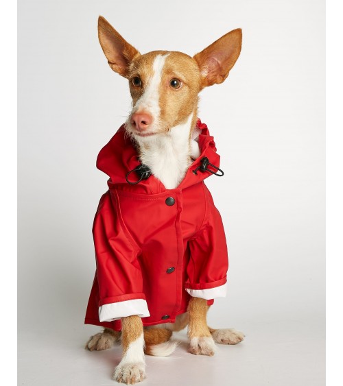 Dog Raincoat - Sarah - Red The Painter's Wife Dog Coat and Raincoat design switzerland original
