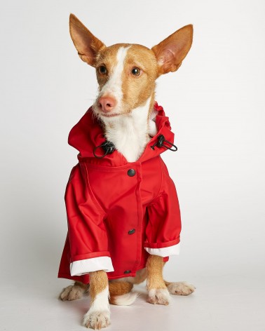 Imperméable pour chien - Sarah - Rouge The Painter's Wife idée cadeau original suisse