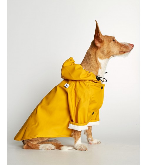 Imperméable pour chien - Sarah - Jaune The Painter's Wife idée cadeau original suisse