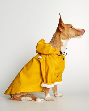 Imperméable pour chien - Sarah - Jaune The Painter's Wife idée cadeau original suisse