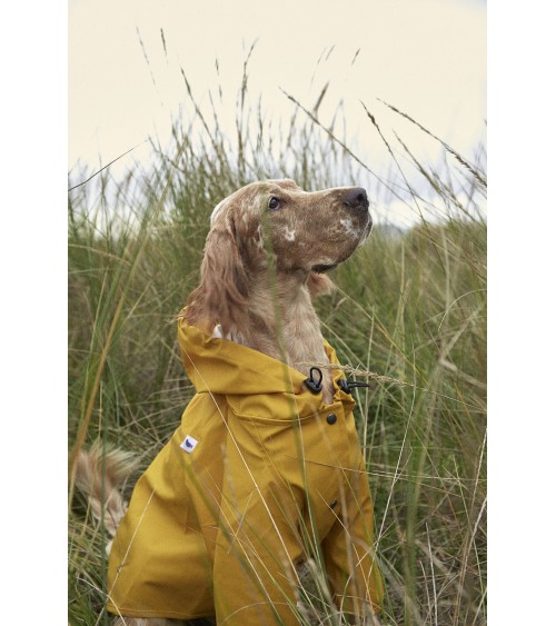 Imperméable pour chien - Sarah - Jaune The Painter's Wife idée cadeau original suisse