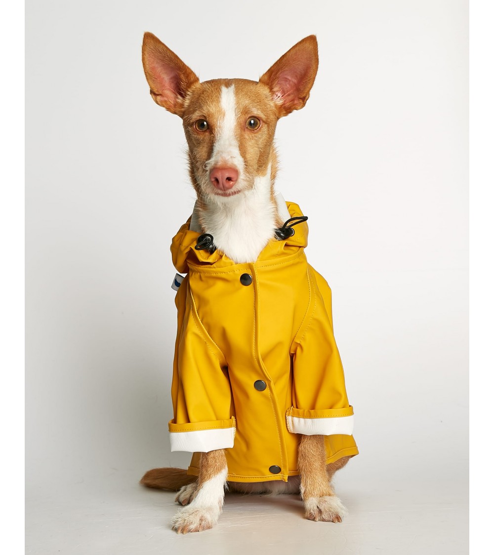 Impermeabili per Cani - Sacha - Giallo The Painter's Wife idea regalo svizzera