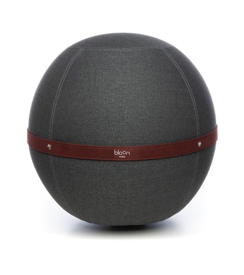 Bloon Original - Grigio platino Bloon Paris Palla per Sedersi Sedia da ufficio e per casa Palle ergonomica Tessuto Seduta erg...