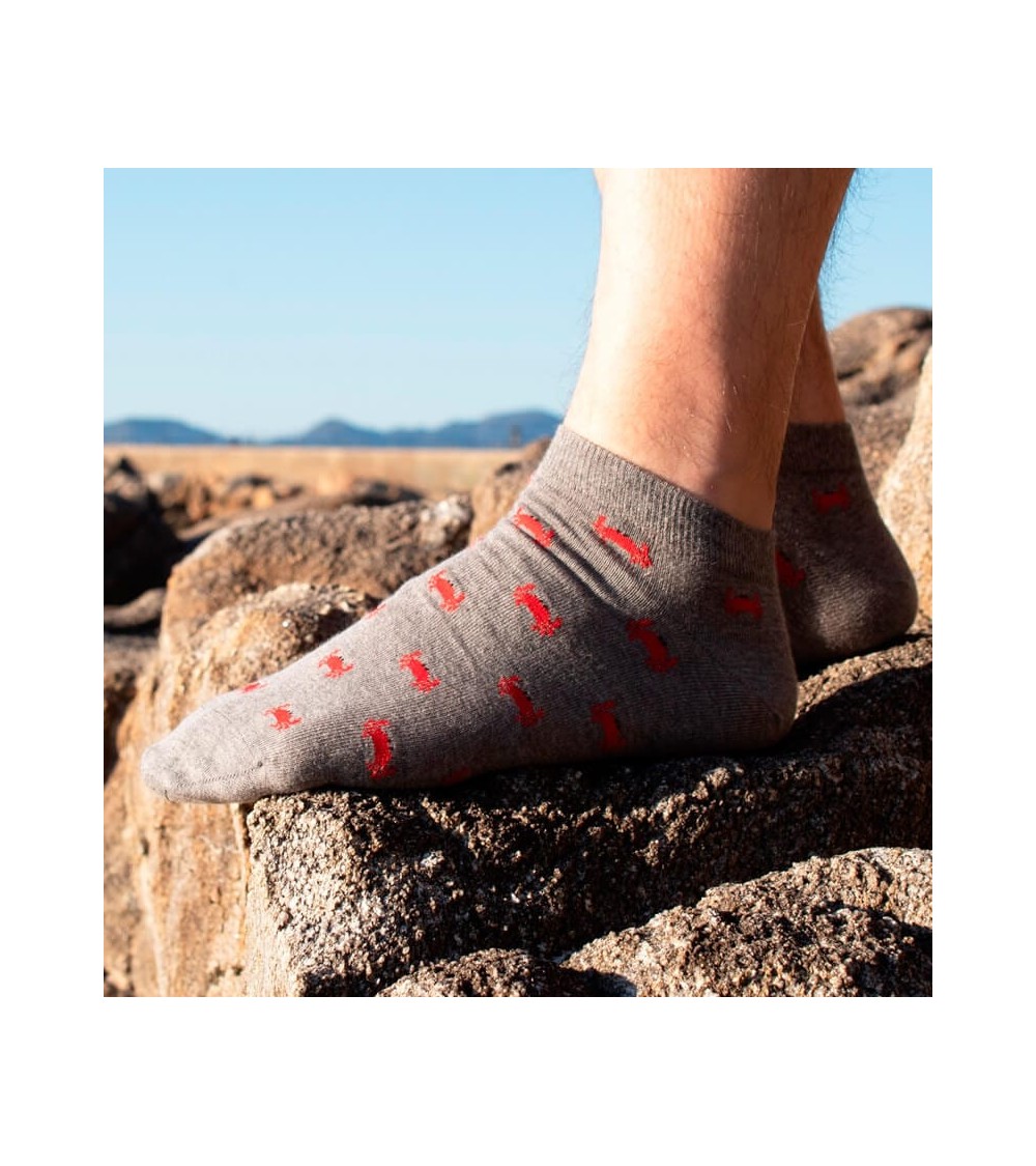 Socquettes - Nécoras SomosOcéano jolies chausset pour homme femme fantaisie drole originales