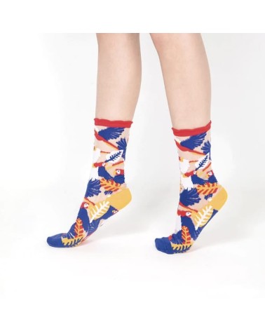 Chaussettes transparentes - Perroquet - Rouge Paperself jolies pour femme originales pour homme chausset rigolotes drole Suisse
