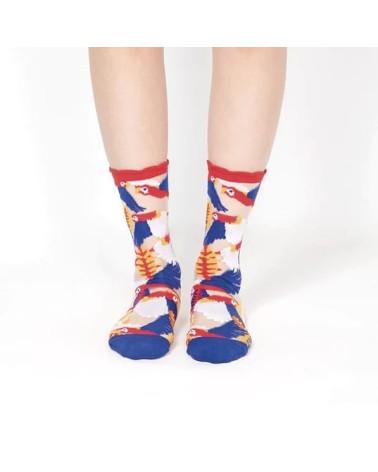 Chaussettes transparentes - Perroquet - Rouge Paperself jolies pour femme originales pour homme chausset rigolotes drole Suisse