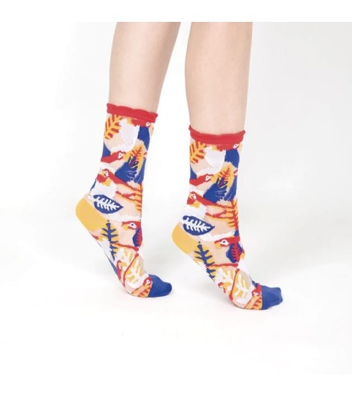 Sheer Socks - Parrot - Red Paperself funny crazy cute cool best pop socks for women men