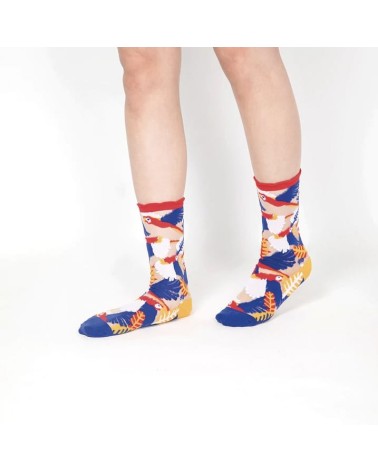 Chaussettes transparentes - Perroquet - Rouge Paperself jolies pour femme originales pour homme chausset rigolotes drole Suisse
