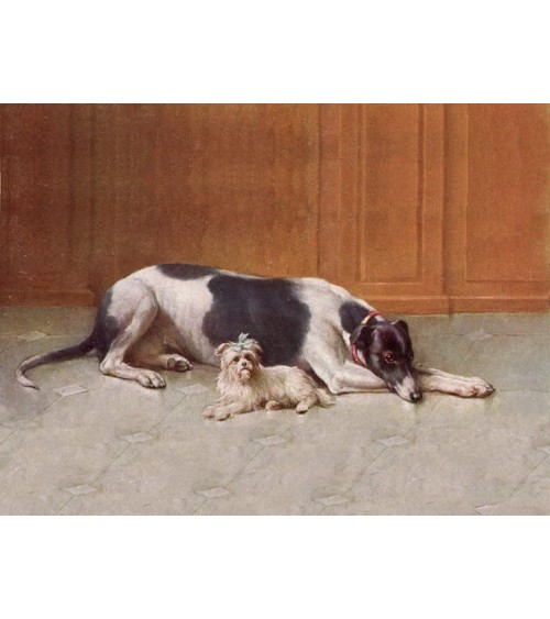 Greyhound - Wooden brooch Fen & Co broches and pins hat pin badges collectible