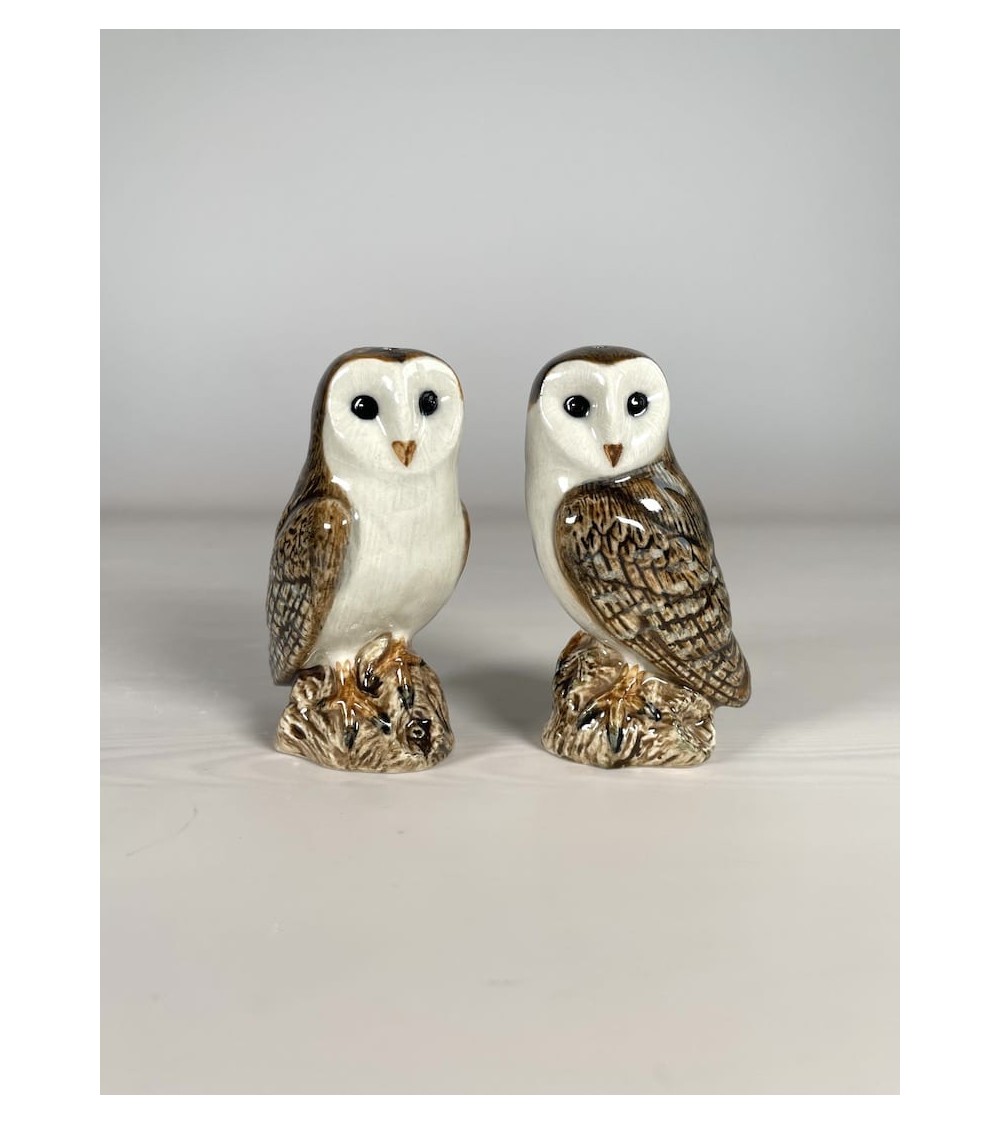 Barn Owl - Salt and pepper shaker Quail Ceramics pots set shaker cute unique cool