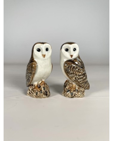 Barn Owl - Salt and pepper shaker Quail Ceramics pots set shaker cute unique cool