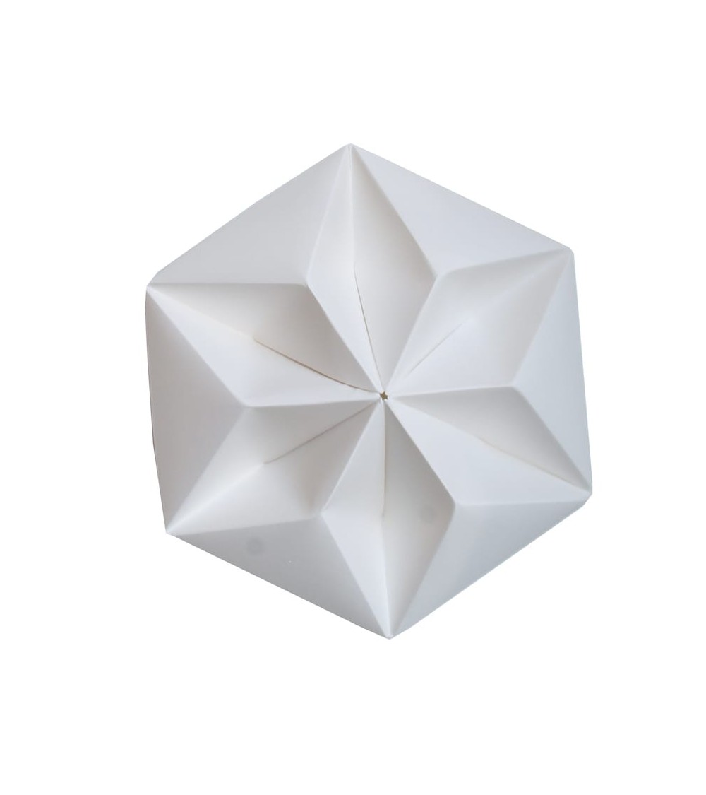 Ceiling rose - Kroonuppe - White Studio Snowpuppe Lighting design switzerland original