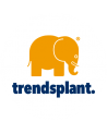 Trendsplant